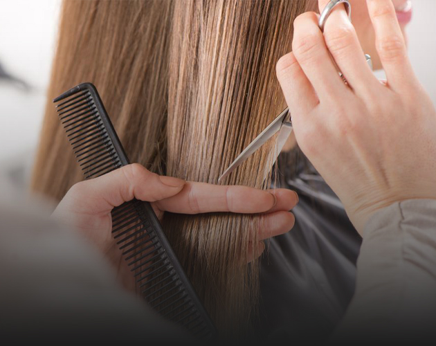 Hairstyling Course Program