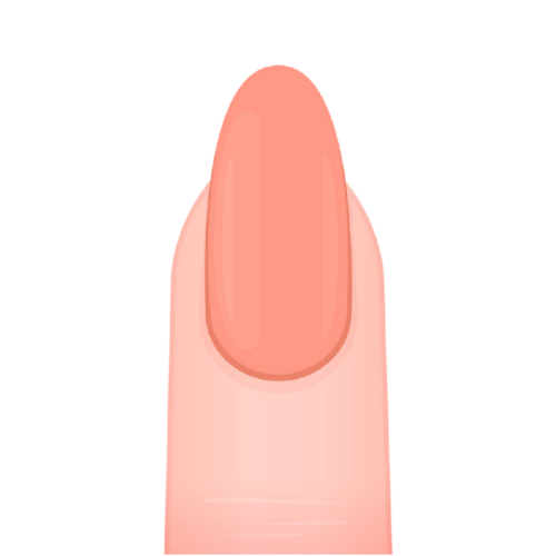 The Best Manicure School in Los Angeles to Launch Your California Nail Tech License 7 almond shape nail