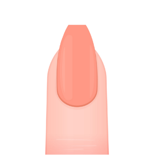 The Best Manicure School in Los Angeles to Launch Your California Nail Tech License 8 coffin shape nail