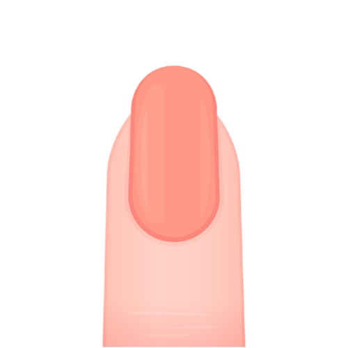 The Best Manicure School in Los Angeles to Launch Your California Nail Tech License 11 oval nail shape