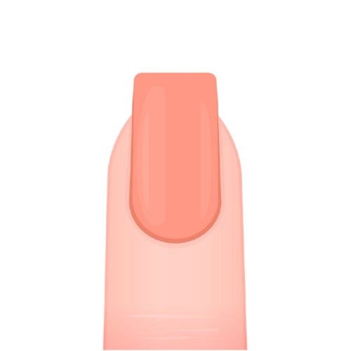 The Best Manicure School in Los Angeles to Launch Your California Nail Tech License 10 square nail shape