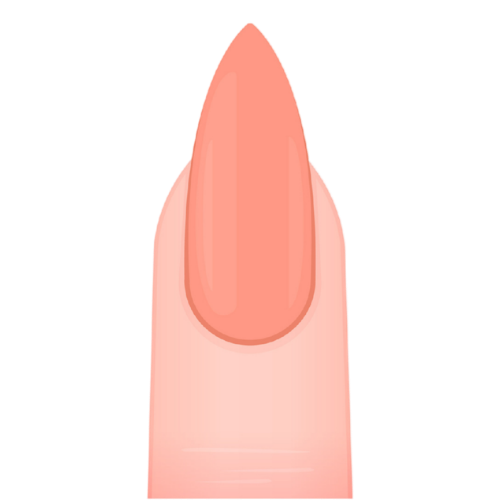 The Best Manicure School in Los Angeles to Launch Your California Nail Tech License 12 stiletto-nail-shape
